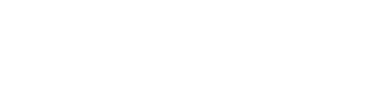 CT Web Design Shop Logo